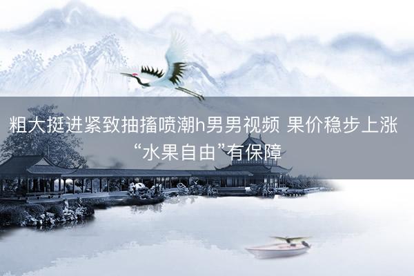 粗大挺进紧致抽搐喷潮h男男视频 果价稳步上涨 “水果自由”有保障