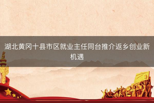 湖北黄冈十县市区就业主任同台推介返乡创业新机遇