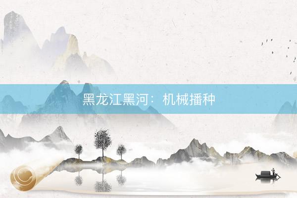 黑龙江黑河：机械播种