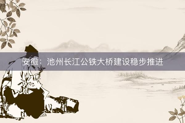 安徽：池州长江公铁大桥建设稳步推进