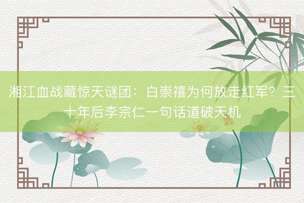 湘江血战藏惊天谜团：白崇禧为何放走红军？三十年后李宗仁一句话道破天机