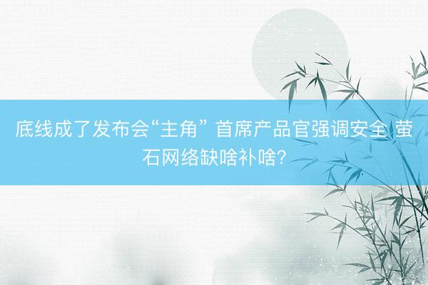 底线成了发布会“主角” 首席产品官强调安全 萤石网络缺啥补啥？