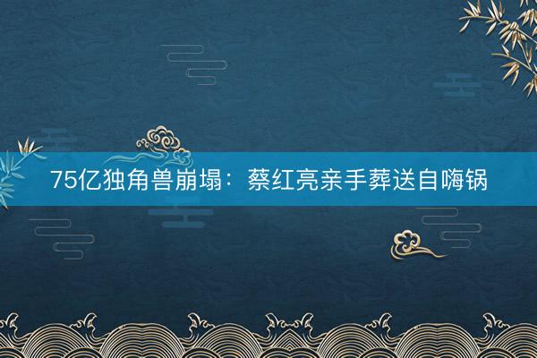 75亿独角兽崩塌：蔡红亮亲手葬送自嗨锅