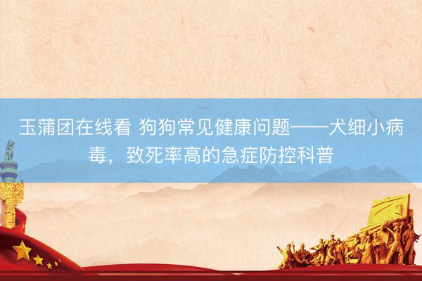 玉蒲团在线看 狗狗常见健康问题——犬细小病毒，致死率高的急症防控科普