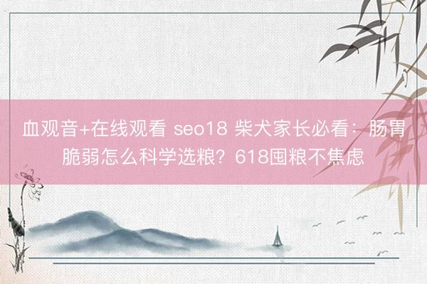 血观音+在线观看 seo18 柴犬家长必看：肠胃脆弱怎么科学选粮？618囤粮不焦虑