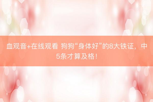 血观音+在线观看 狗狗“身体好”的8大铁证，中5条才算及格！