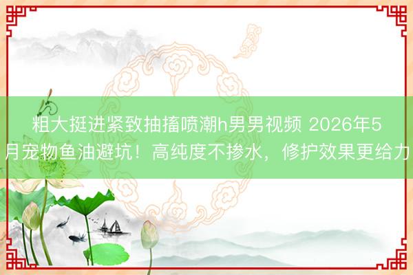 粗大挺进紧致抽搐喷潮h男男视频 2026年5月宠物鱼油避坑！高纯度不掺水，修护效果更给力