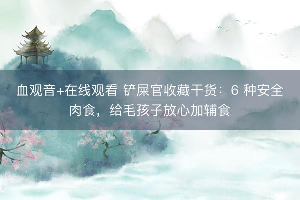 血观音+在线观看 铲屎官收藏干货：6 种安全肉食，给毛孩子放心加辅食