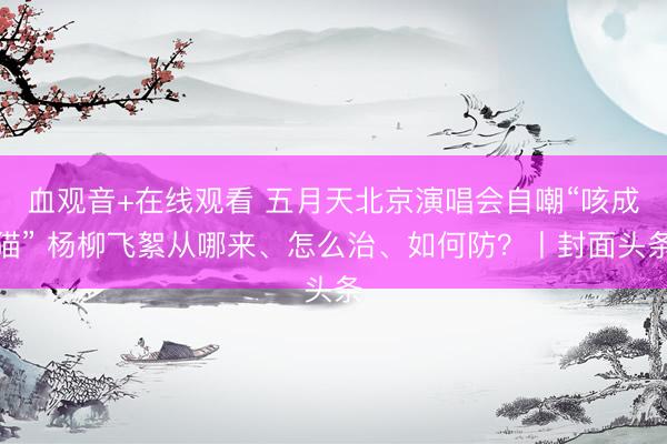 血观音+在线观看 五月天北京演唱会自嘲“咳成猫” 杨柳飞絮从哪来、怎么治、如何防？丨封面头条