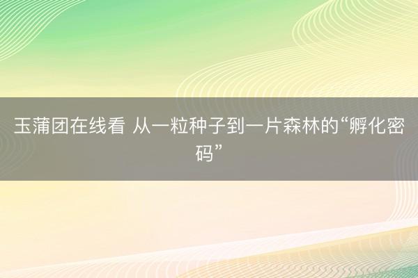 玉蒲团在线看 从一粒种子到一片森林的“孵化密码”
