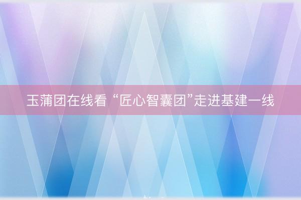 玉蒲团在线看 “匠心智囊团”走进基建一线