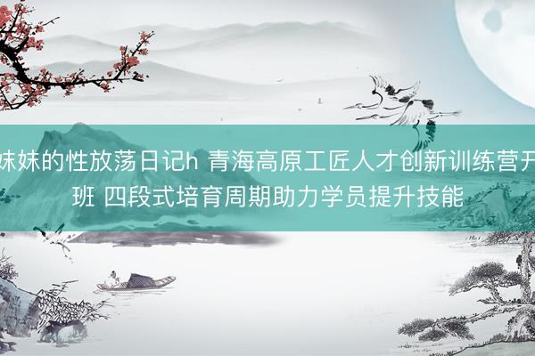 妺妺的性放荡日记h 青海高原工匠人才创新训练营开班 四段式培育周期助力学员提升技能