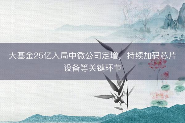大基金25亿入局中微公司定增，持续加码芯片设备等关键环节