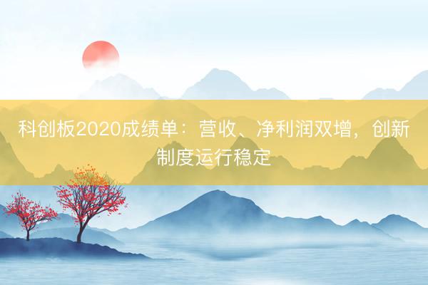 科创板2020成绩单：营收、净利润双增，创新制度运行稳定