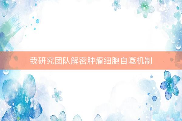 我研究团队解密肿瘤细胞自噬机制