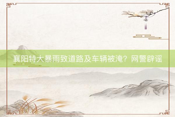 襄阳特大暴雨致道路及车辆被淹？网警辟谣