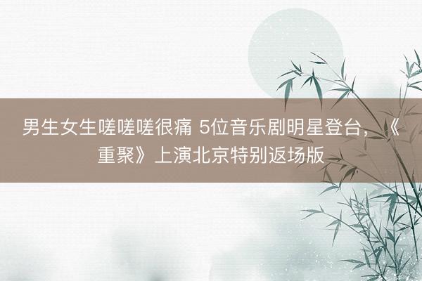 男生女生嗟嗟嗟很痛 5位音乐剧明星登台，《重聚》上演北京特别返场版