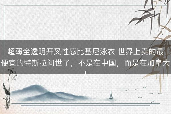 超薄全透明开叉性感比基尼泳衣 世界上卖的最便宜的特斯拉问世了，不是在中国，而是在加拿大