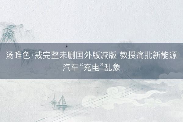 汤唯色·戒完整未删国外版减版 教授痛批新能源汽车“充电”乱象