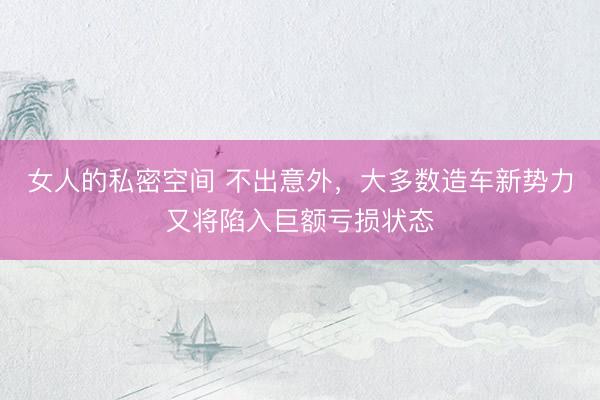 女人的私密空间 不出意外，大多数造车新势力又将陷入巨额亏损状态