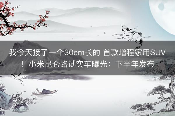 我今天接了一个30cm长的 首款增程家用SUV！小米昆仑路试实车曝光：下半年发布