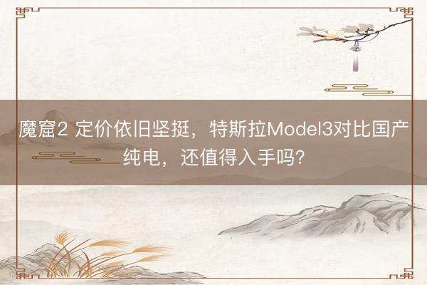 魔窟2 定价依旧坚挺，特斯拉Model3对比国产纯电，还值得入手吗？