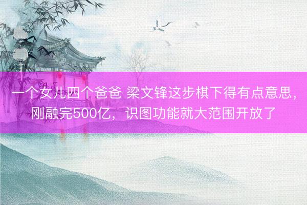 一个女儿四个爸爸 梁文锋这步棋下得有点意思，刚融完500亿，识图功能就大范围开放了