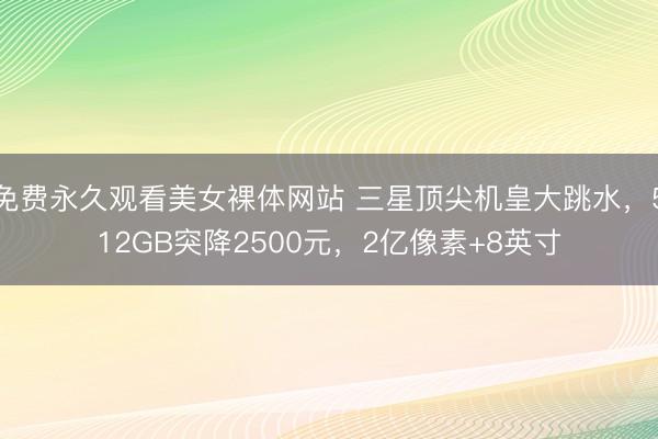 免费永久观看美女裸体网站 三星顶尖机皇大跳水，512GB突降2500元，2亿像素+8英寸