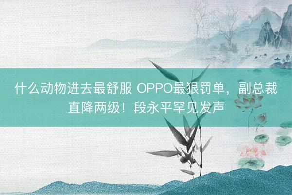 什么动物进去最舒服 OPPO最狠罚单，副总裁直降两级！段永平罕见发声