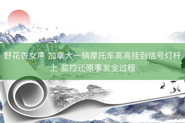 野花香女声 加拿大一辆摩托车高高挂到信号灯杆上 监控还原事发全过程