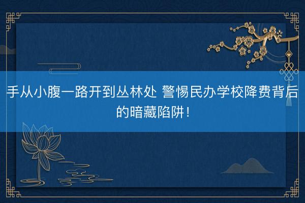 手从小腹一路开到丛林处 警惕民办学校降费背后的暗藏陷阱！