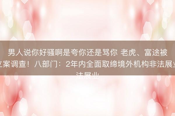 男人说你好骚啊是夸你还是骂你 老虎、富途被立案调查！八部门：2年内全面取缔境外机构非法展业
