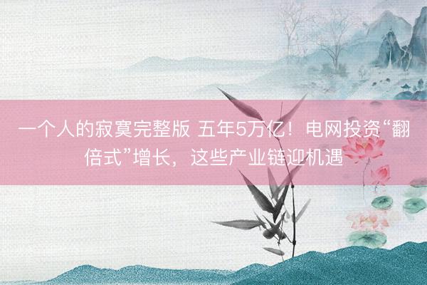 一个人的寂寞完整版 五年5万亿！电网投资“翻倍式”增长，这些产业链迎机遇
