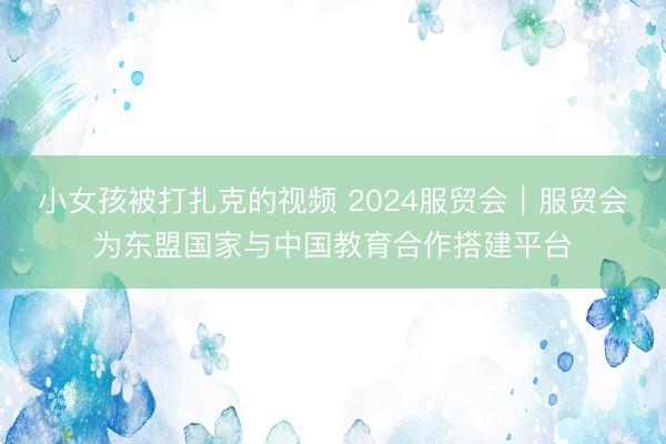 小女孩被打扎克的视频 2024服贸会｜服贸会为东盟国家与中国教育合作搭建平台