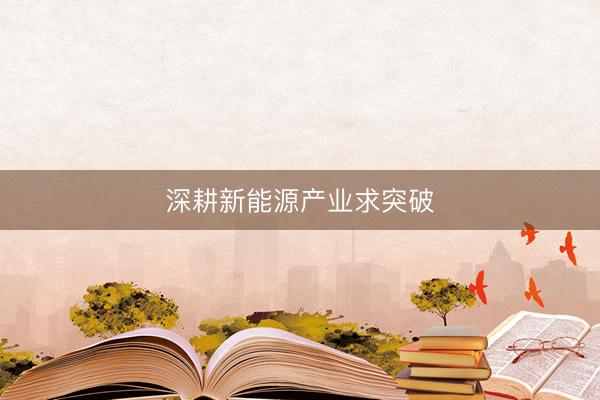 深耕新能源产业求突破