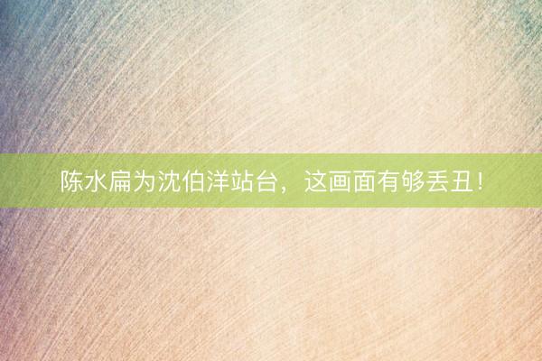 陈水扁为沈伯洋站台，这画面有够丢丑！