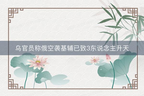 乌官员称俄空袭基辅已致3东说念主升天