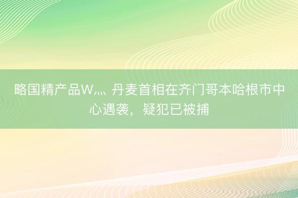 略国精产品W灬 丹麦首相在齐门哥本哈根市中心遇袭，疑犯已被捕