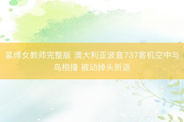 紧缚女教师完整版 澳大利亚波音737客机空中与鸟相撞 被动掉头折返