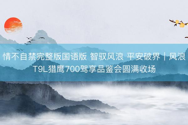 情不自禁完整版国语版 智驭风浪 平安破界｜风浪T9L猎鹰700驾享品鉴会圆满收场
