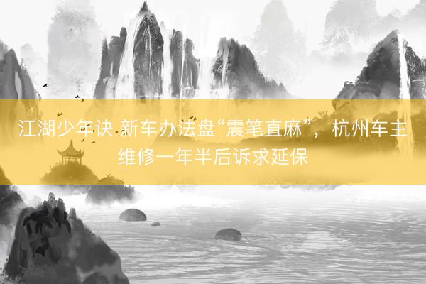 江湖少年诀 新车办法盘“震笔直麻”，杭州车主维修一年半后诉求延保