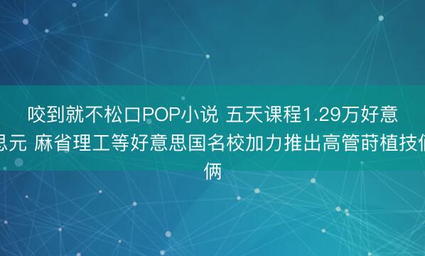 咬到就不松口POP小说 五天课程1.29万好意思元 麻省理工等好意思国名校加力推出高管莳植技俩