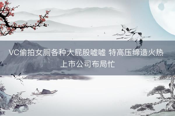 VC偷拍女厕各种大屁股嘘嘘 特高压缔造火热 上市公司布局忙