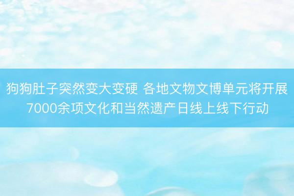狗狗肚子突然变大变硬 各地文物文博单元将开展7000余项文化和当然遗产日线上线下行动