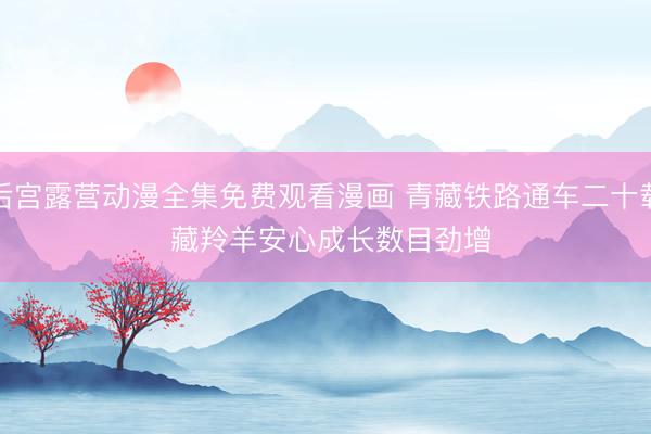 后宫露营动漫全集免费观看漫画 青藏铁路通车二十载 藏羚羊安心成长数目劲增