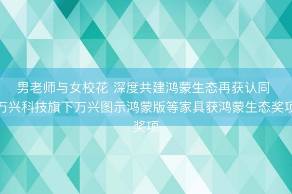 男老师与女校花 深度共建鸿蒙生态再获认同 万兴科技旗下万兴图示鸿蒙版等家具获鸿蒙生态奖项