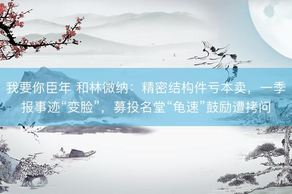 我要你臣年 和林微纳：精密结构件亏本卖，一季报事迹“变脸”，募投名堂“龟速”鼓励遭拷问