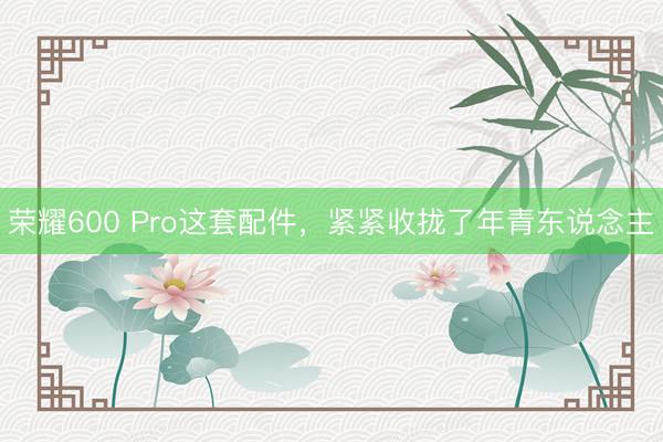 荣耀600 Pro这套配件，紧紧收拢了年青东说念主